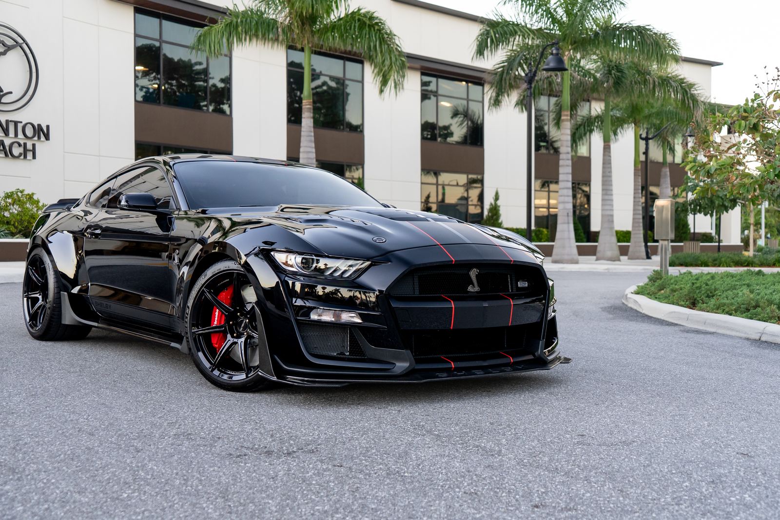 Shelby GT500 build at Palm Beach Dyno